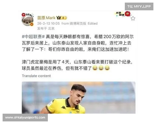 阿尔瓦罗六次解围封单刀 泰山新中卫防守表现获认可